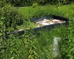 Biospheric Project Summer 2016